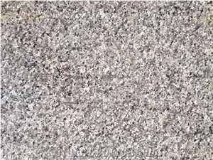 Swan White Granite Polished Stairs/Steps