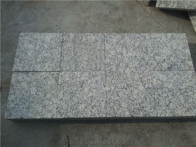 China Light Grey Granite Grey Sardo G602