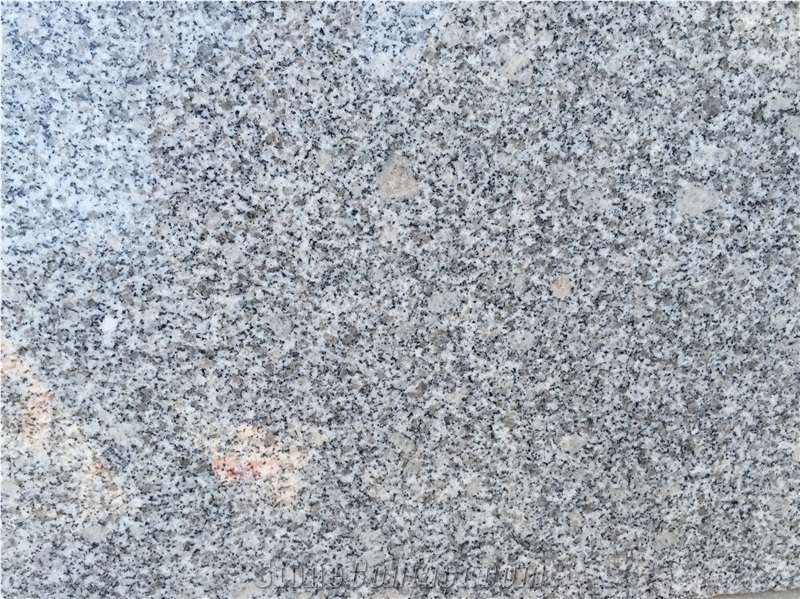 China Light Grey Granite Grey Sardo G602