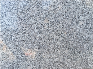 China Light Grey Granite Grey Sardo G602
