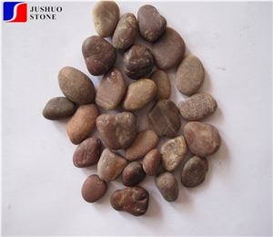 Tumbled Pebble Walkway Natural Garden River Pebbles