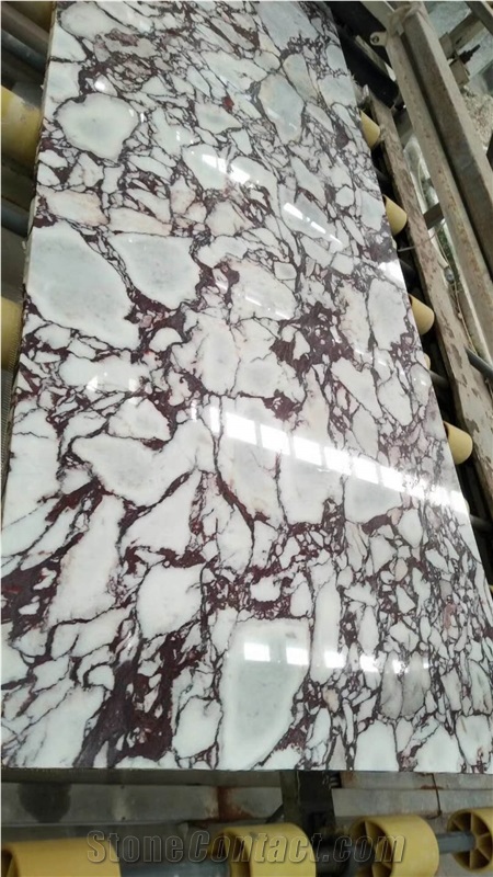 Brecchia Breccia Vagli Violetta Marble Tile Slab
