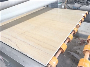 Chinese Fossil Wood Light Marble Slab Wall Tiles