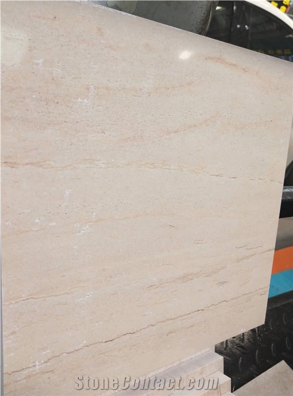 Chinese Fossil Wood Light Marble Slab Wall Tiles