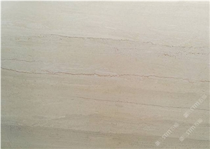 Chinese Fossil Wood Light Marble Slab Wall Tiles