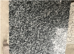 Dark Grey Granite Step G604 Stair Riser Tread