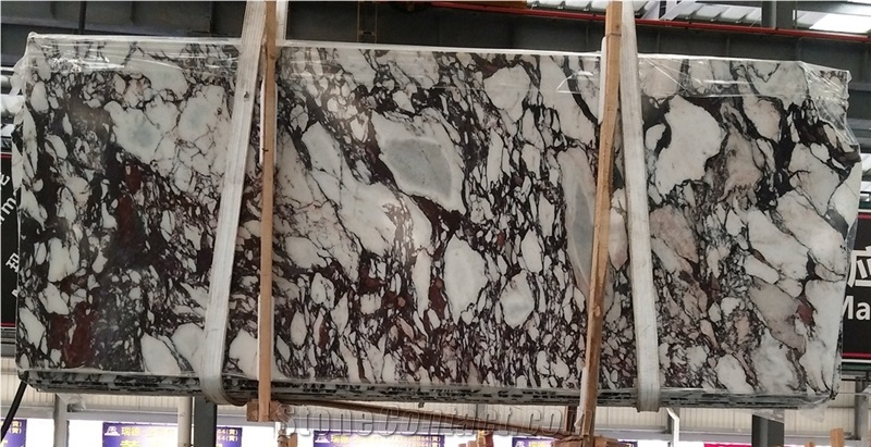 Marmi Calacatta Viola, Violet Marble Slab Colors