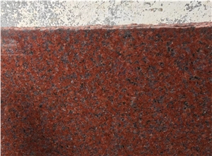 Ruby Red Granite Slabs Wall and Flooring Tiles