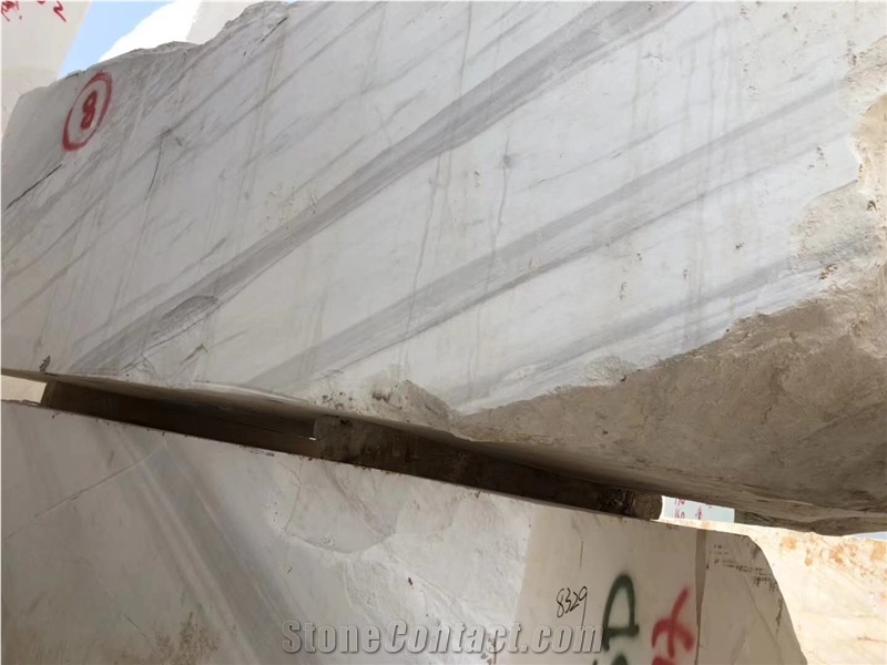 Volakas Spider White Marble and Marble Floor Tile