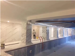 Volakas White Marble Stone Columns Design