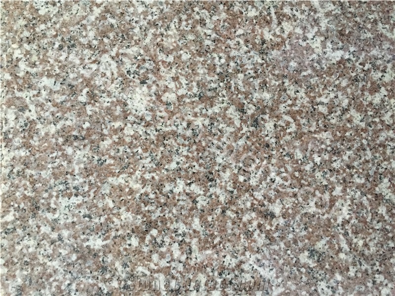 G664 Bainbrook Brown Granite Stone Slabs&Tiles