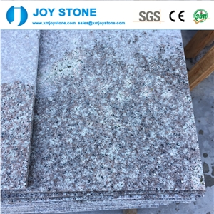 Cheap Natural Stone Pink Tile G664 Granite 30x60