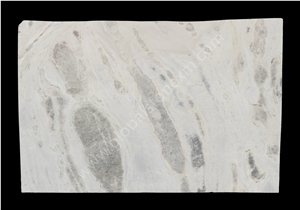 Highly Durable Sea Reef Slabs Tile for Shower Wall Highly Durable Sea Reef Slabs Tile for Shower Wall