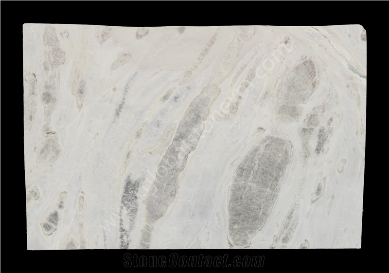 Highly Durable Sea Reef Slabs Tile for Shower Wall
