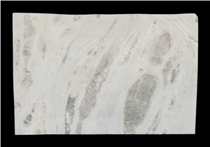 Highly Durable Sea Reef Slabs Tile for Shower Wall