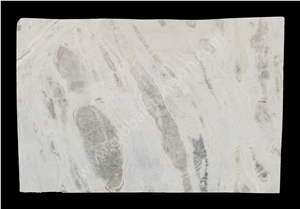 Highly Durable Sea Reef Slabs Tile for Shower Wall