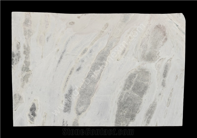 Highly Durable Sea Reef Slabs Tile for Shower Wall