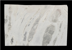 Highly Durable Sea Reef Slabs Tile for Shower Wall