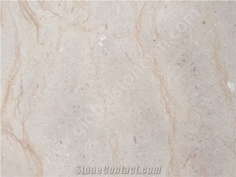 Pakistan Tippy Beige/Cream Limestone Slabs Tiles