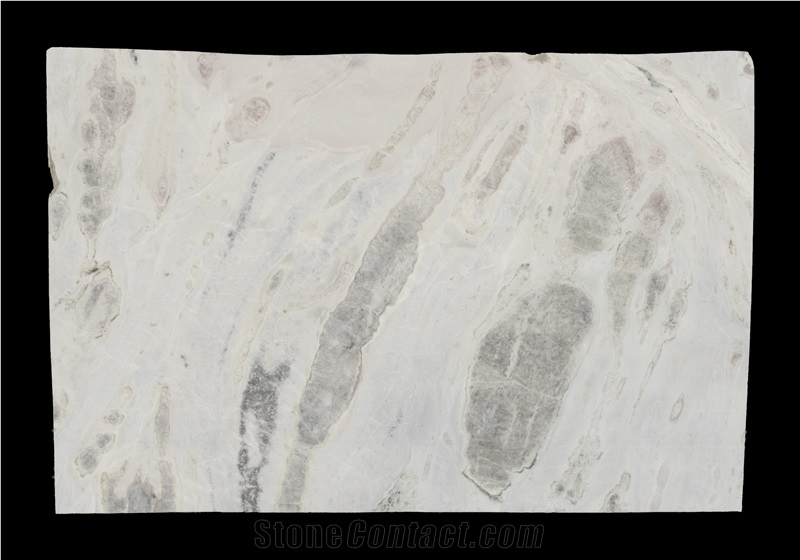 Sea Reef Marble Slabs Tiles, China Blue Marble