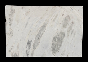 Sea Reef Marble Slabs Tiles, China Blue Marble