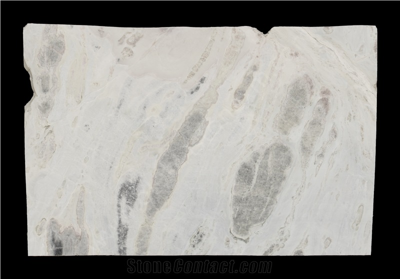 Sea Reef Marble Slabs Tiles, China Blue Marble