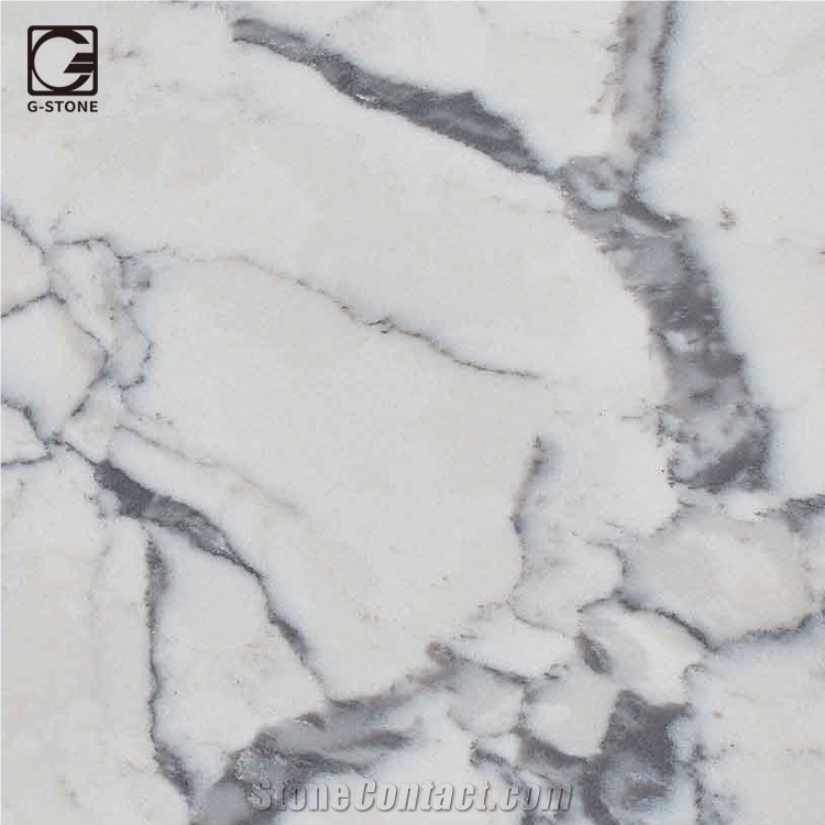 New Calaccatta Quartz Stone Slabs