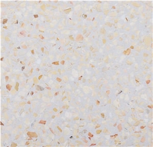 Thanh Tuyen Interior Terrazzo Floor Tile N23