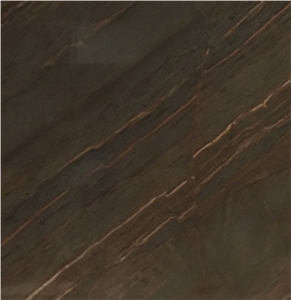 Elegante Brown Quartzite Slabs&Tiles Polished