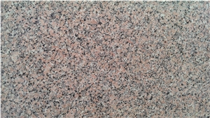 Indian Porrino Granite Slab