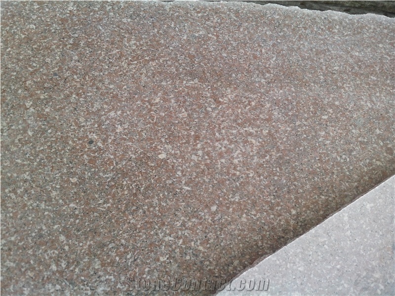 China G648 Granite Slabs Floor Tiles for Kitchen