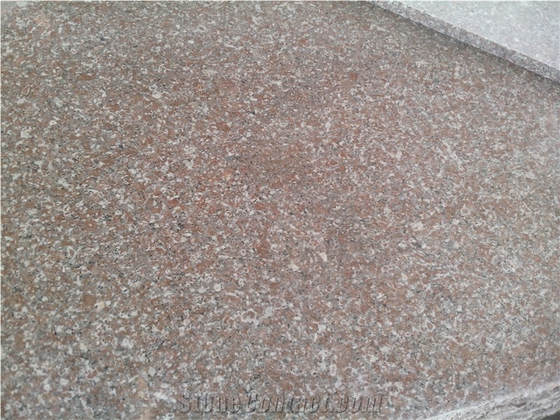 China G648 Granite Slabs Floor Tiles for Kitchen