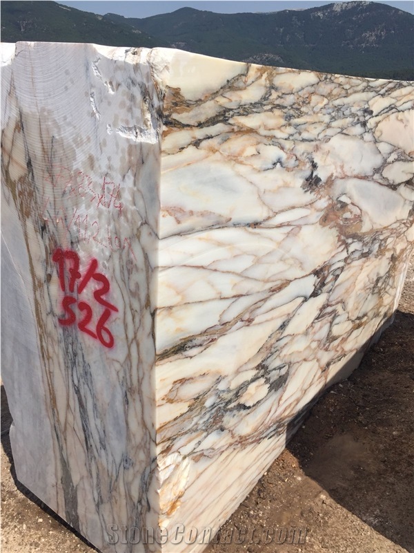 Turkey Calacatta Viola Marble Blocks