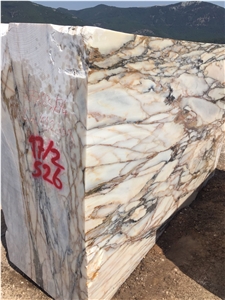 Turkey Calacatta Viola Marble Blocks