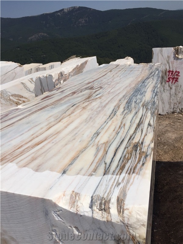 Turkey Calacatta Viola Marble Blocks