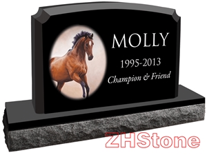 Bone Design Shanxi Black Granite Pet Monument
