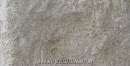 Natural Coral Stone Split Face