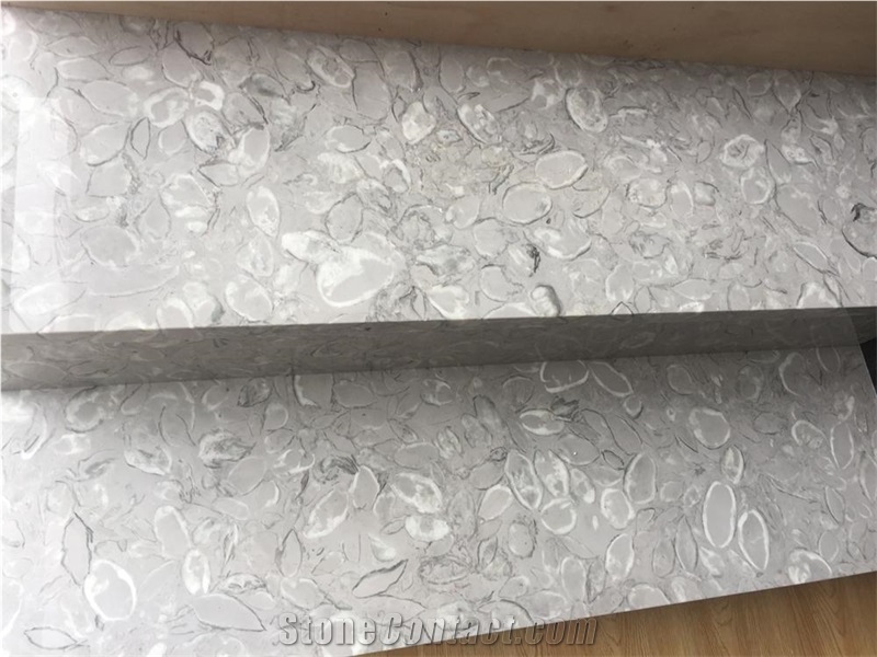 Grey Shell Marble Polished Standard Interior Steps