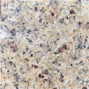 Brazil Royal Gold Granite Floor Tiles