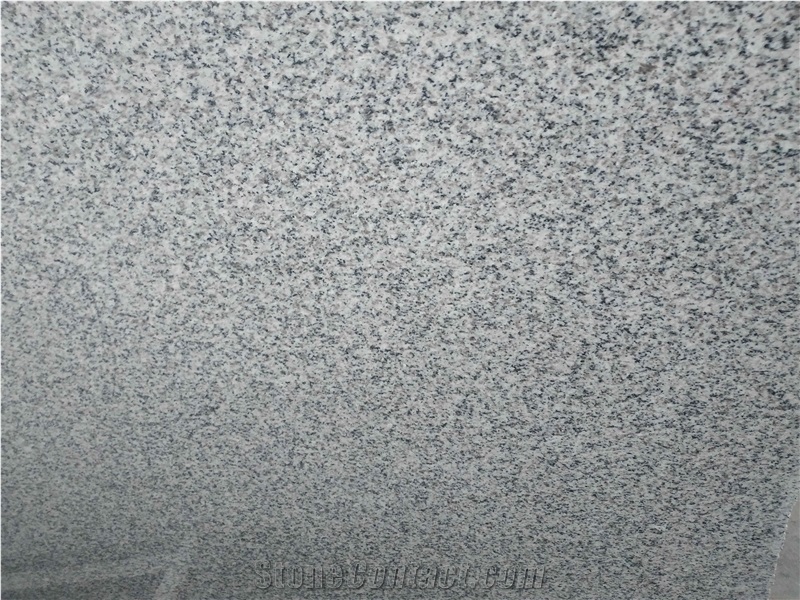 Wuhan G603 Light Grey Granite Tiles Slabs