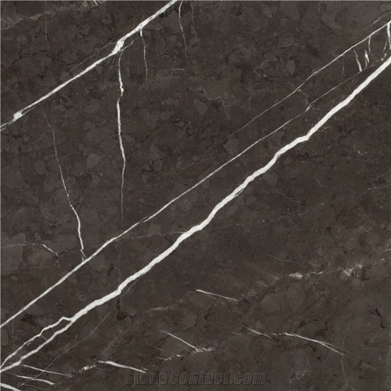 Pietra Grey Marble Slabs