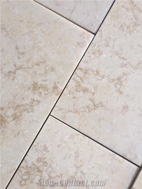 Alpha premium Limestone Slabs & Tiles