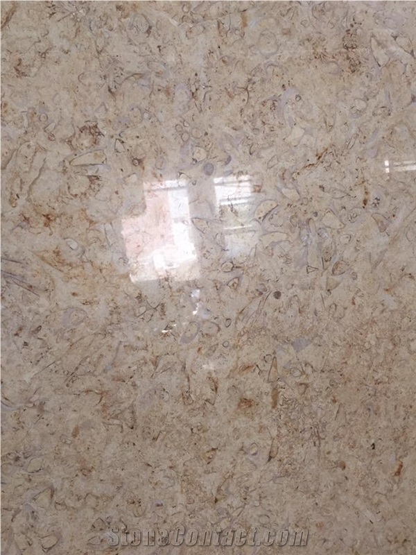 Khatmia Marble Slabs & Tiles, Egypt Beige Marble