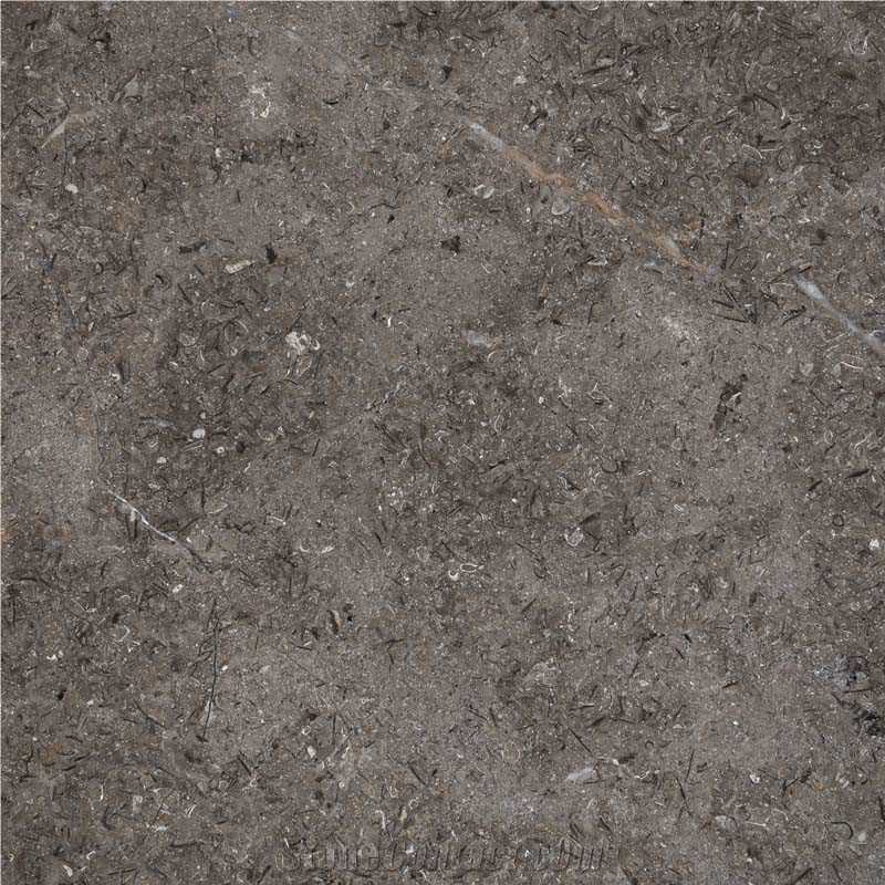 Maroon Grey Marble Slabs & Tiles, Egypt Grey Marble