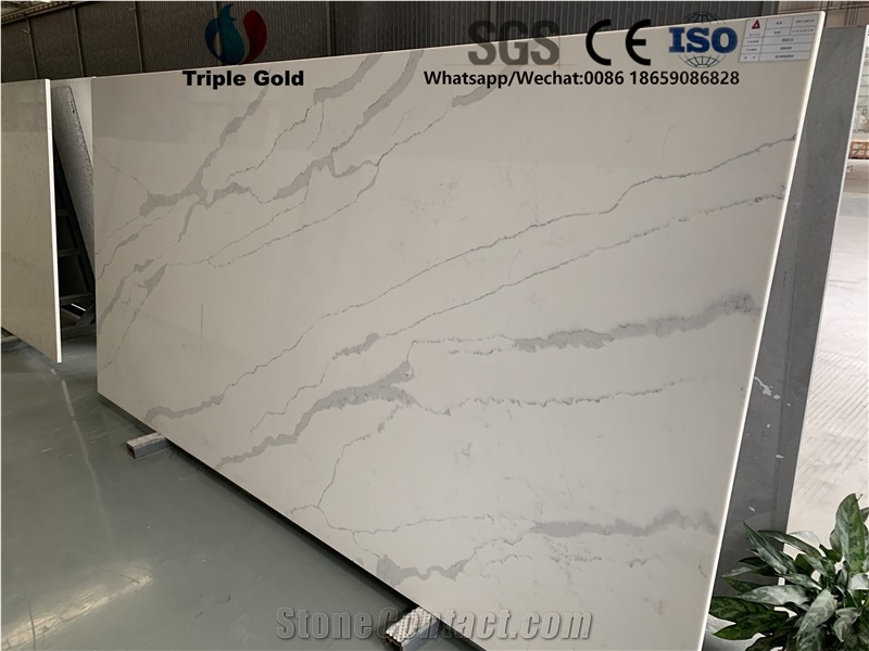 Arabescato Corchia Carrara White Quartz Big Slabs
