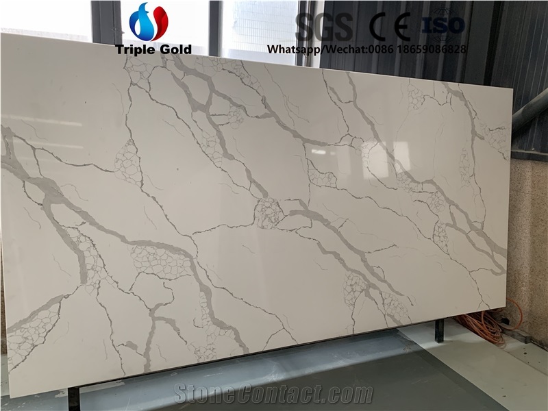Arabescato Corchia Carrara White Quartz Big Slabs