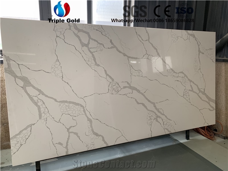 Arabescato Corchia Carrara White Quartz Big Slabs