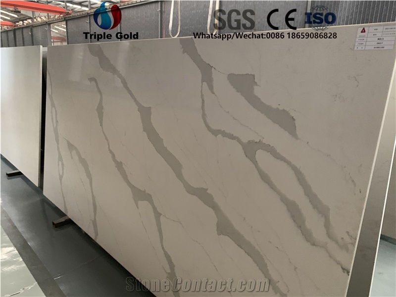 Arabescato Corchia Carrara White Quartz Big Slabs