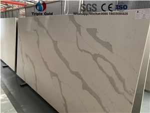 Arabescato Corchia Carrara White Quartz Big Slabs