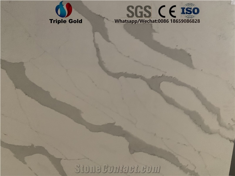 Arabescato Corchia Carrara White Quartz Big Slabs